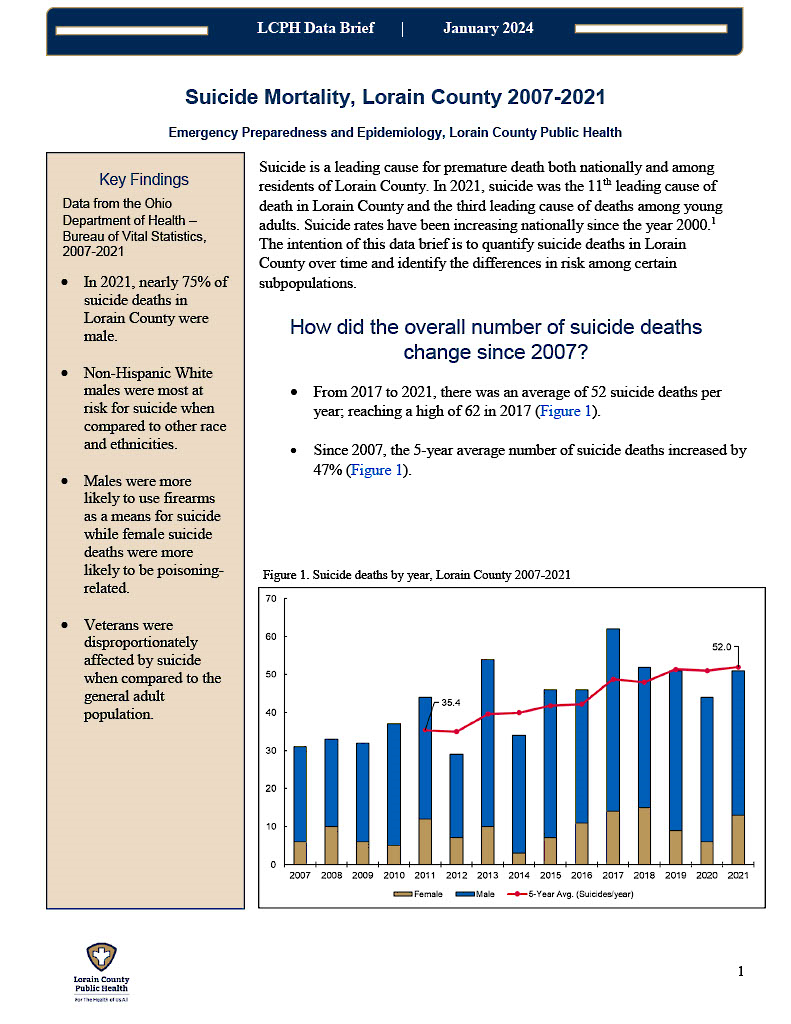 The first page of the linked data brief